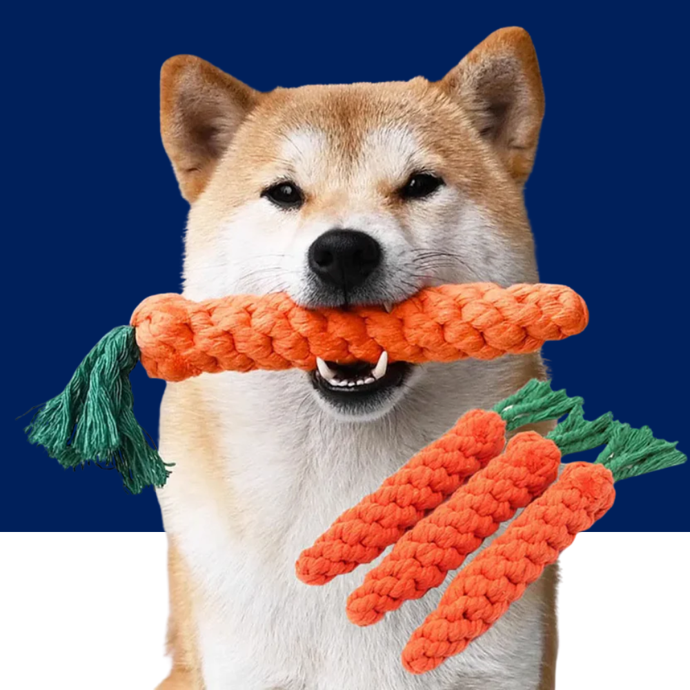 Dog Dental Health Carrot Chew Toy