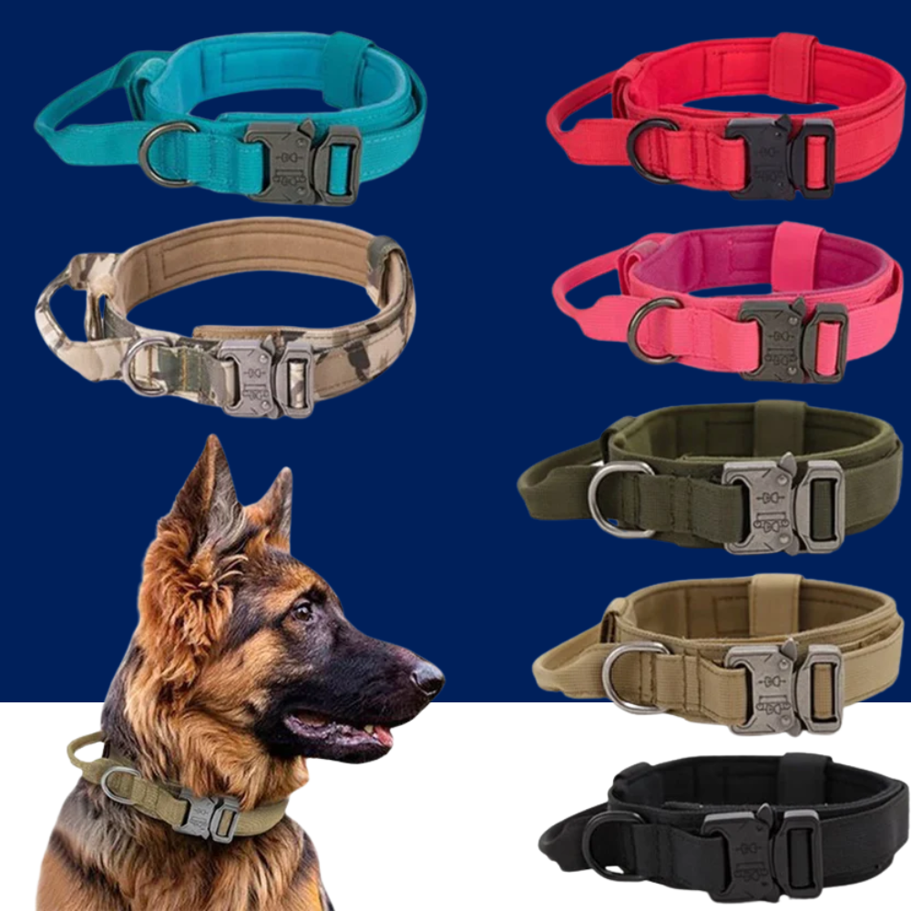 Durable Nylon Dog Collar With Reflective Leash Set
