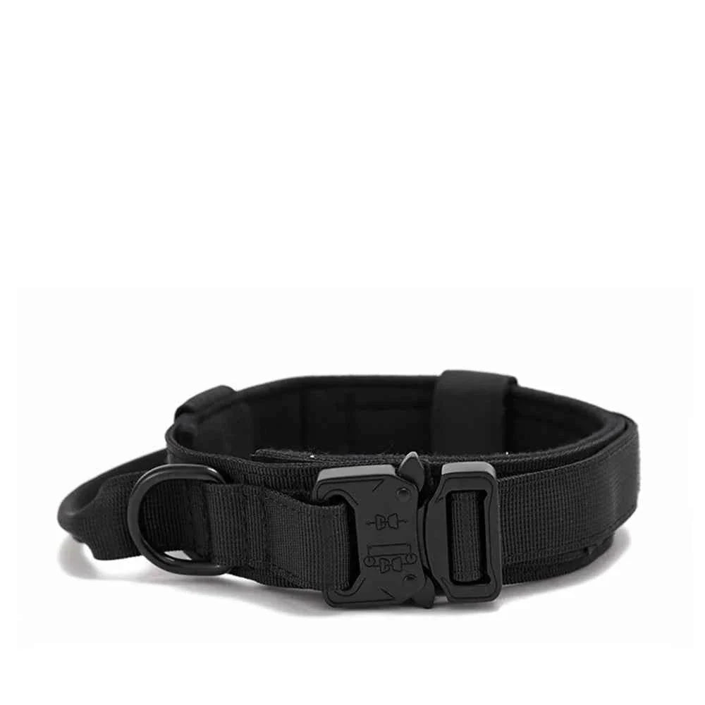 Durable Nylon Dog Collar With Reflective Leash Set
