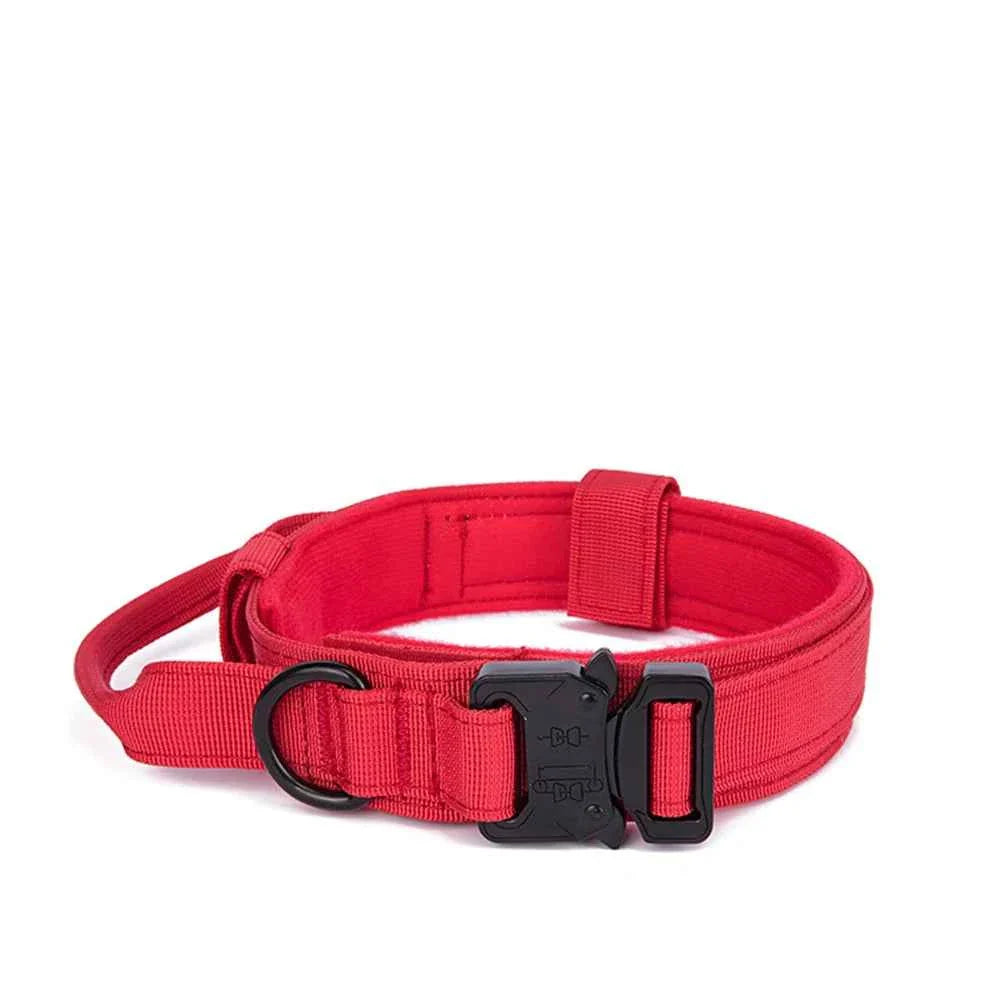 Durable Nylon Dog Collar With Reflective Leash Set