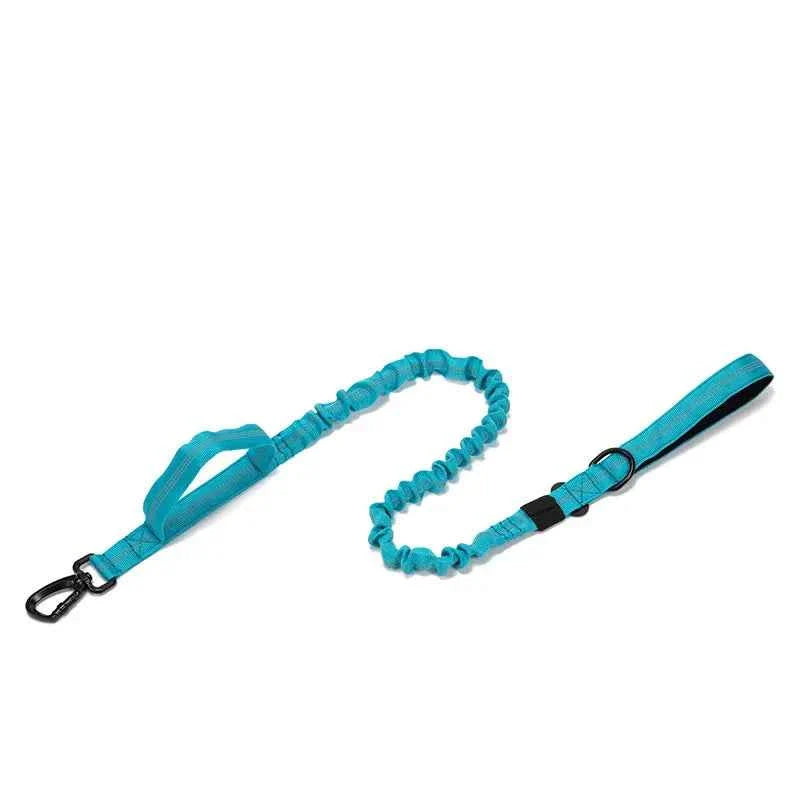 Durable Nylon Dog Collar With Reflective Leash Set