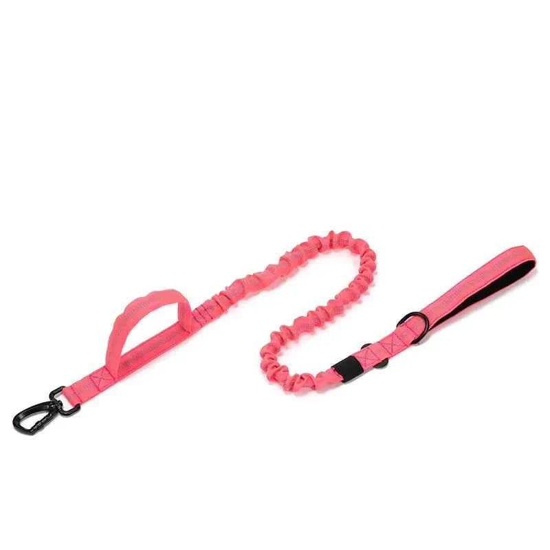 Durable Nylon Dog Collar With Reflective Leash Set
