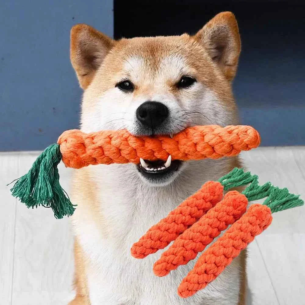 Dog Dental Health Carrot Chew Toy