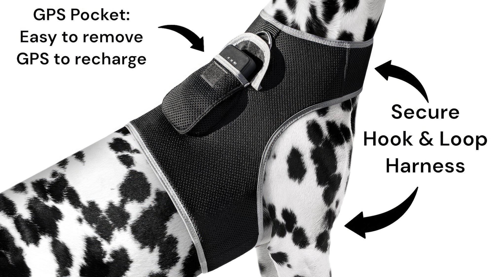 Waterproof Mini Pet Location Finder w/ Pet GPS Tracking Cell Phone App Size:M