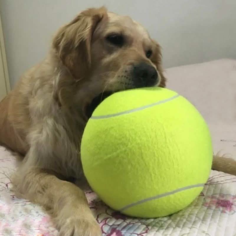 Jumbo Tennis Ball