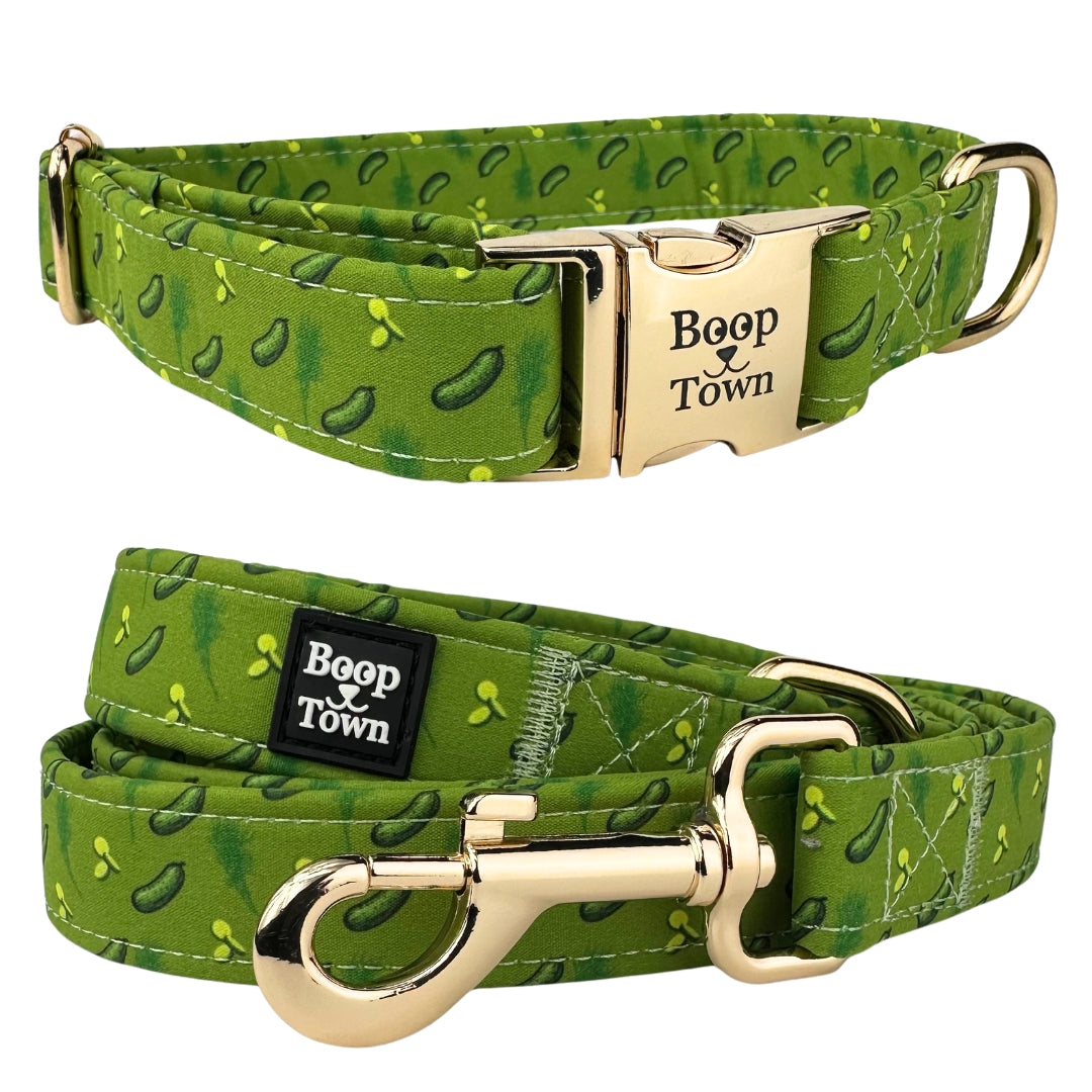 Dog Collar & Leash Sets